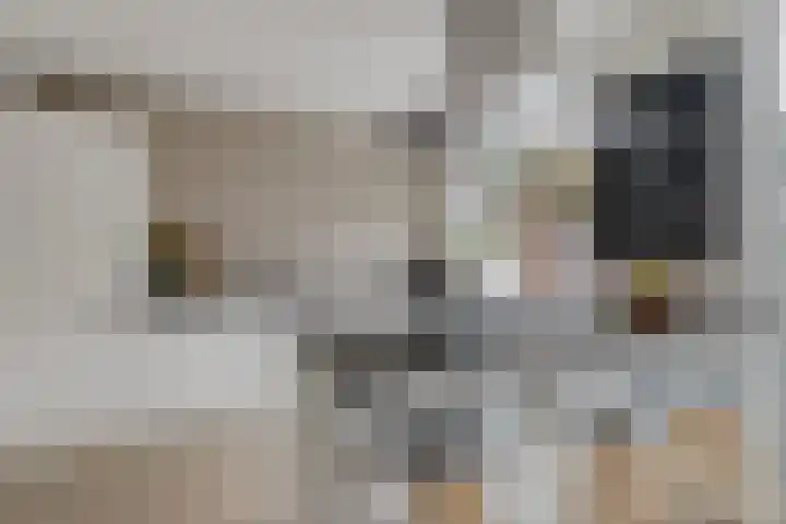 Troelstralaan 18 Hillegom thumbnail 8