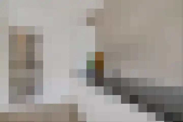 Troelstralaan 18 Hillegom thumbnail 9