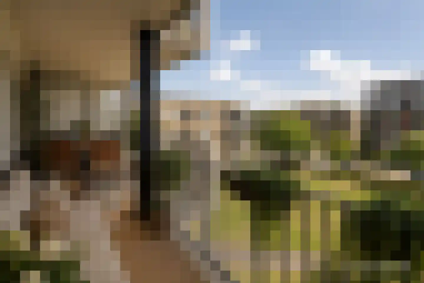 Troelstralaan 18 Pijnacker thumbnail 5