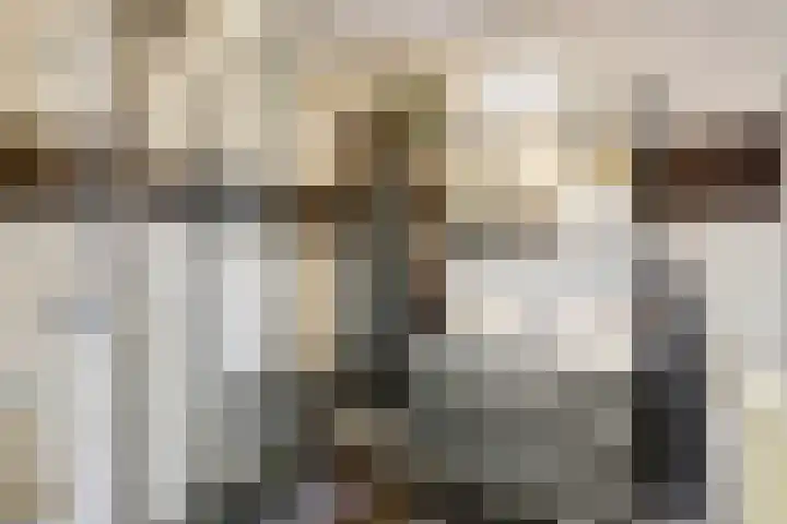 Troelstralaan 20 Oosterhout thumbnail 14