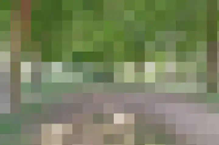 Troelstralaan 20 Oosterhout thumbnail 33