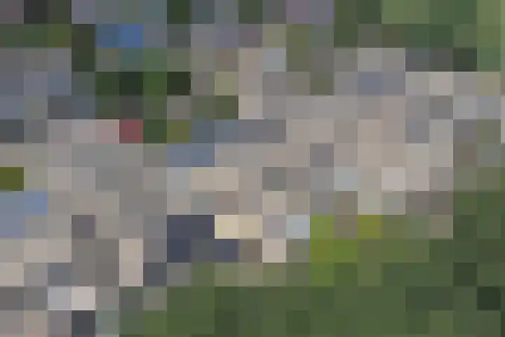 Troelstralaan 20 Oosterhout thumbnail 35