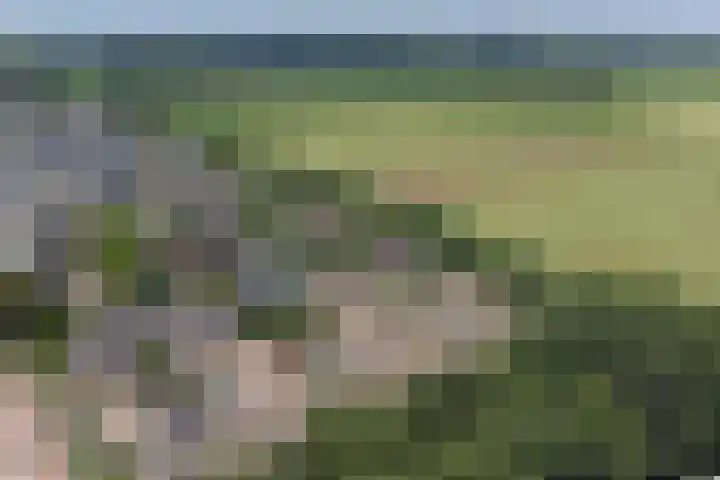 Troelstralaan 20 Oosterhout thumbnail 36