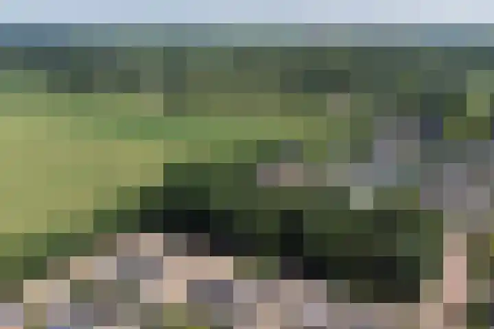 Troelstralaan 20 Oosterhout thumbnail 41