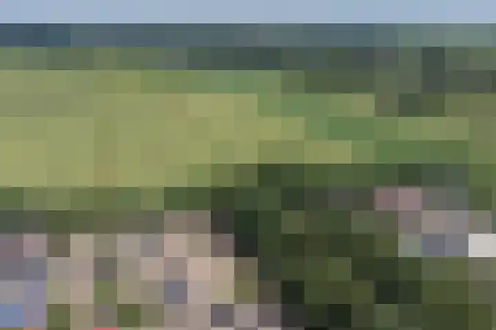 Troelstralaan 20 Oosterhout thumbnail 42