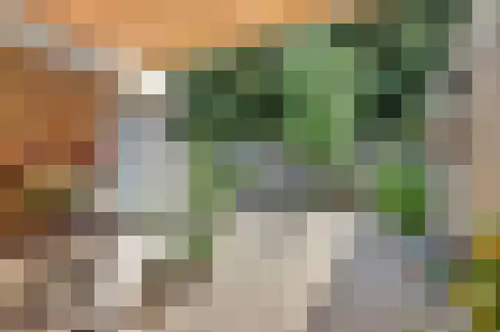 Troelstralaan 20 Oosterhout thumbnail 5