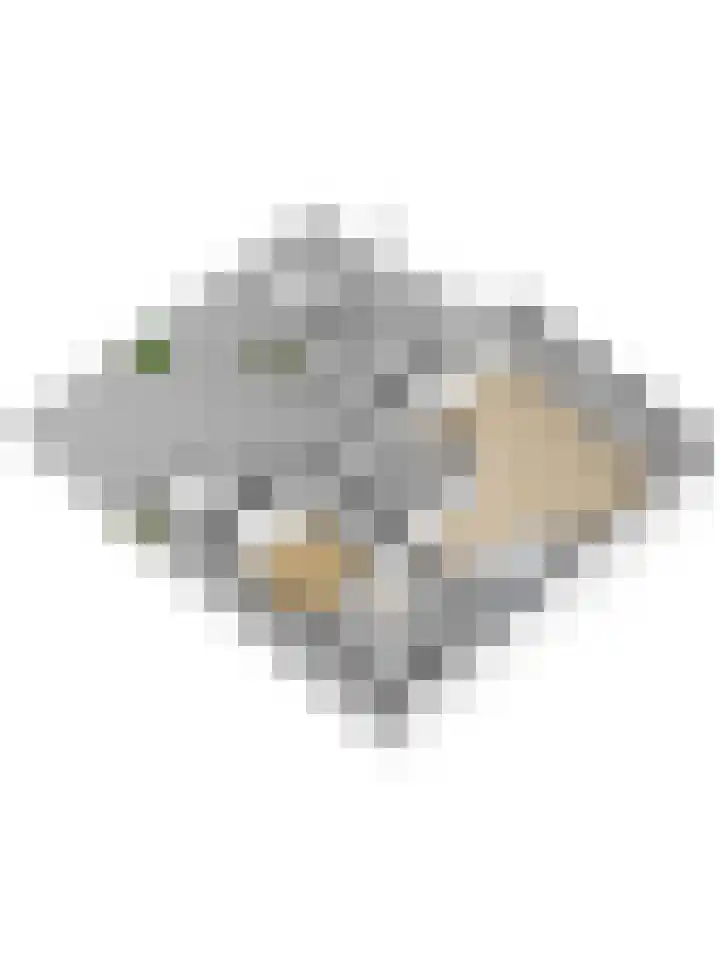 Troelstralaan 20 Oosterhout thumbnail 50