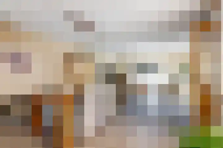 Troelstralaan 20 Oosterhout thumbnail 8