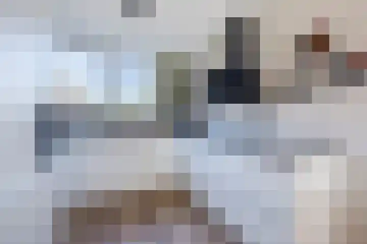 Troelstralaan 21 Sliedrecht thumbnail 11