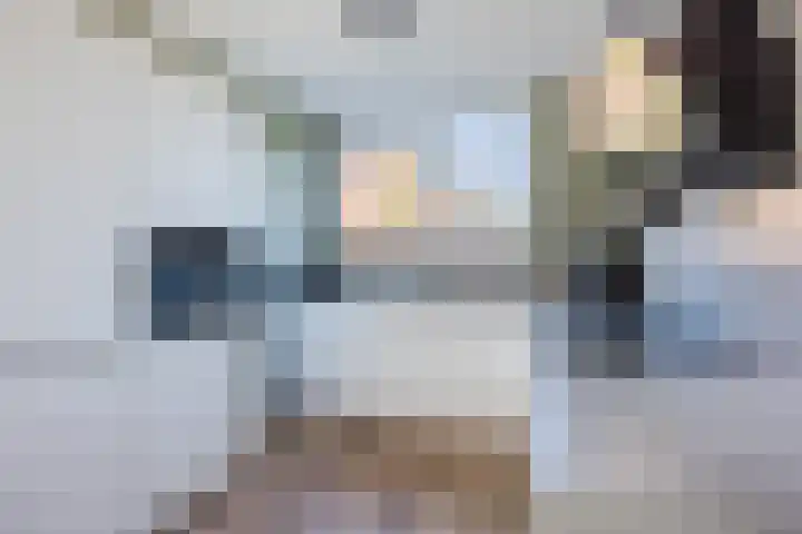 Troelstralaan 21 Sliedrecht thumbnail 12