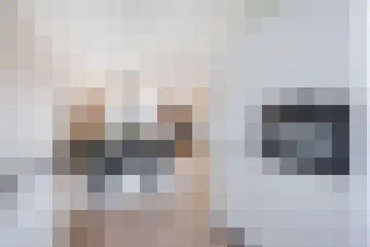Troelstralaan 21 Sliedrecht thumbnail 13