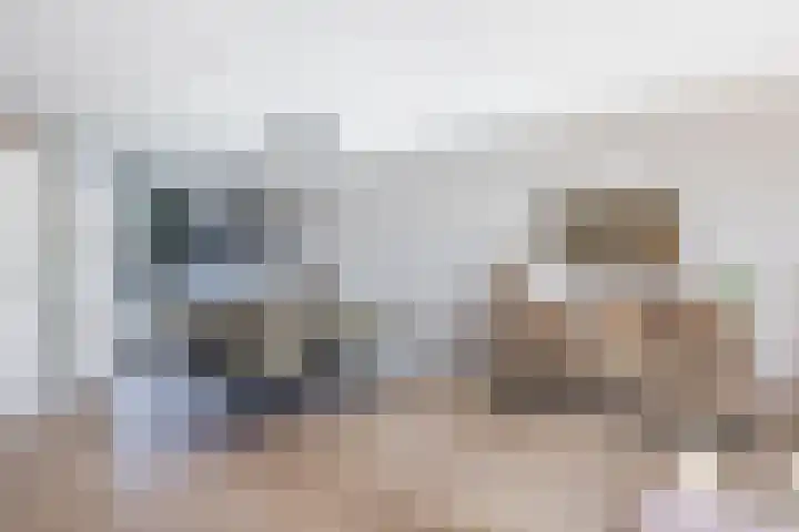 Troelstralaan 21 Sliedrecht thumbnail 7