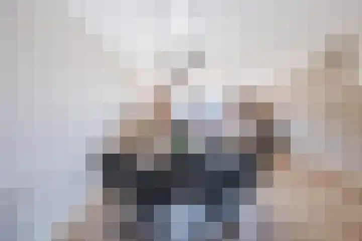 Troelstralaan 21 Sliedrecht thumbnail 8