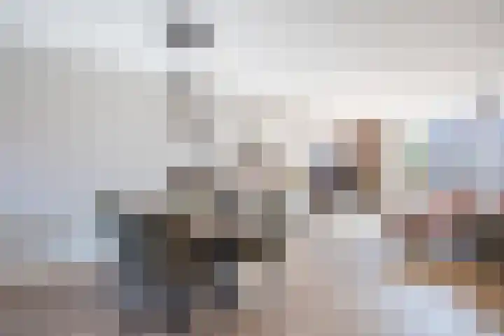 Troelstralaan 21 Sliedrecht thumbnail 9