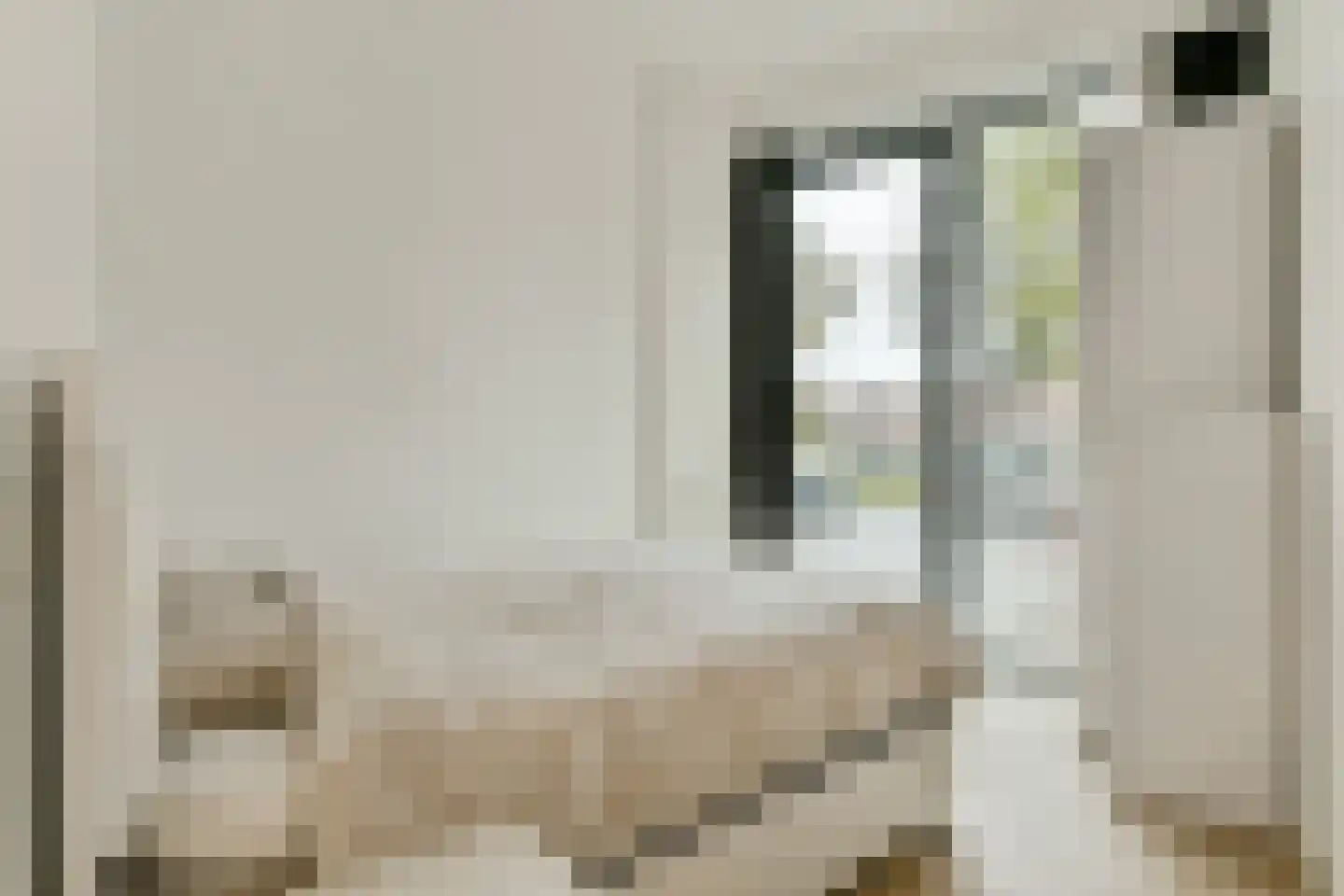 Troelstralaan 211 Amsterdam thumbnail 17