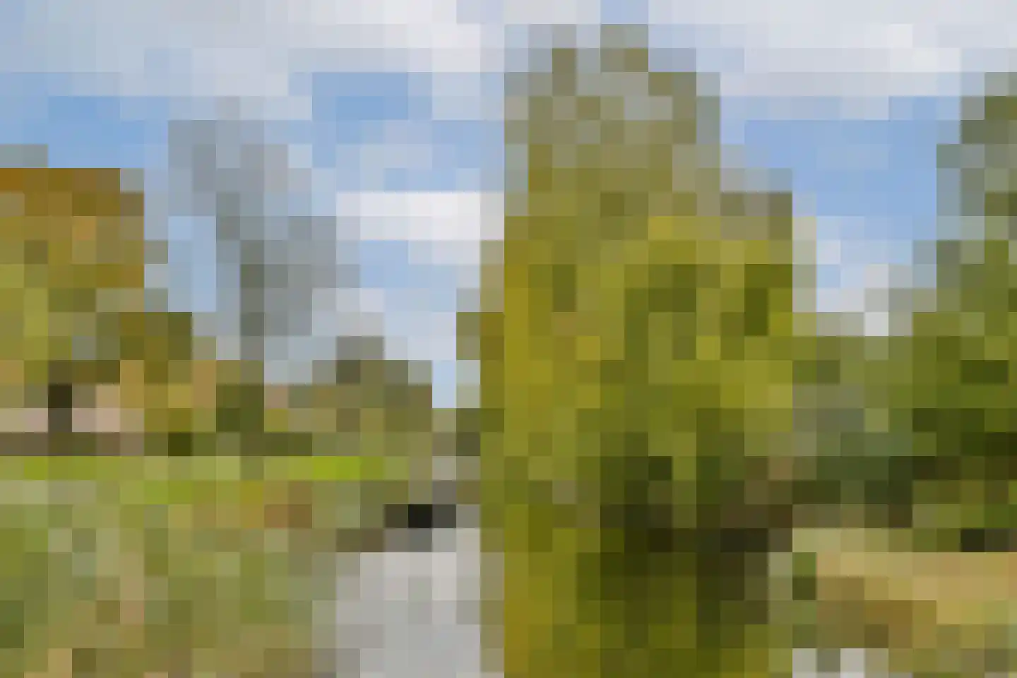 Troelstralaan 211 Amsterdam thumbnail 26