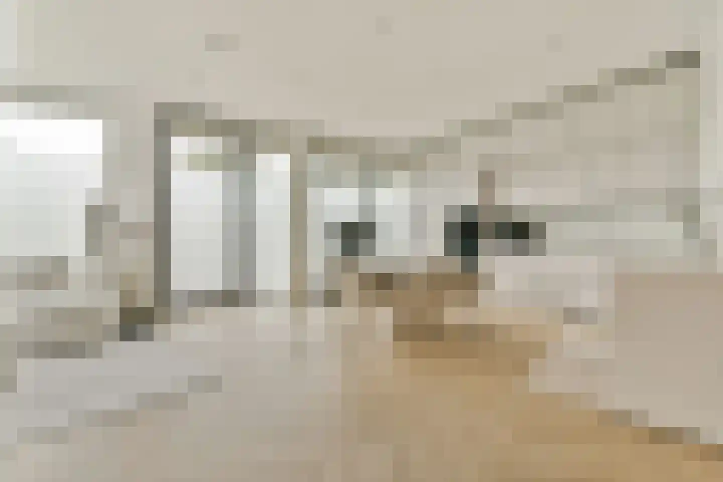 Troelstralaan 211 Amsterdam thumbnail 9