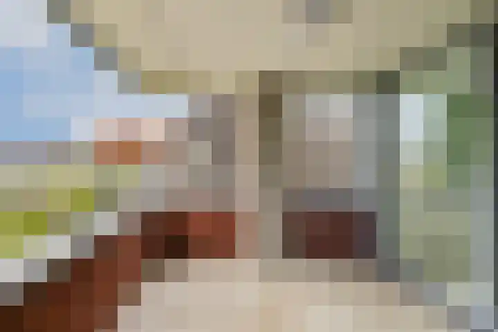 Troelstralaan 217 Amsterdam thumbnail 13