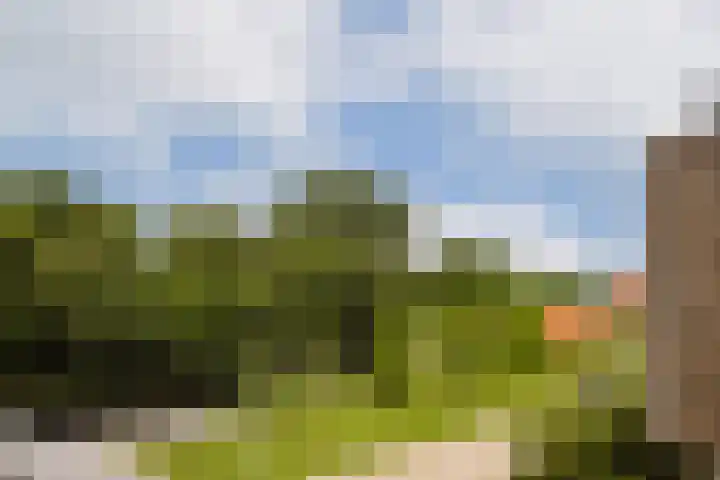 Troelstralaan 217 Amsterdam thumbnail 14