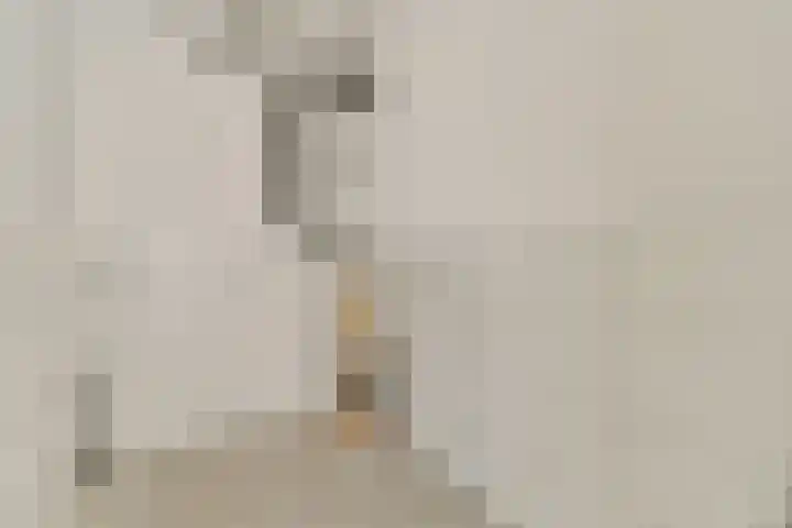 Troelstralaan 217 Amsterdam thumbnail 19