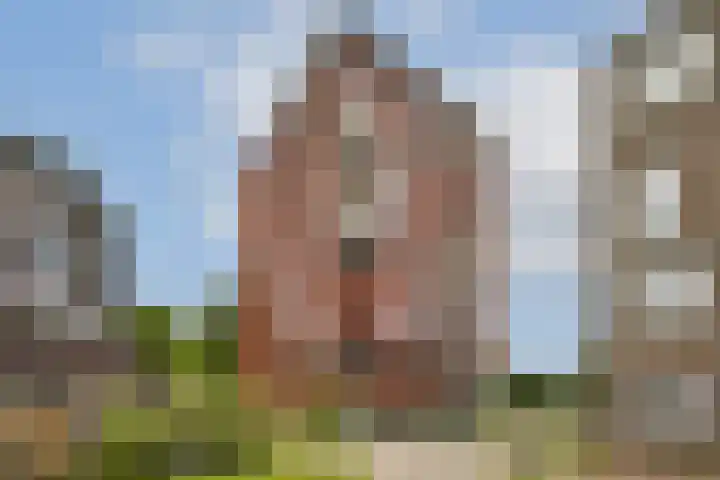 Troelstralaan 217 Amsterdam thumbnail 21