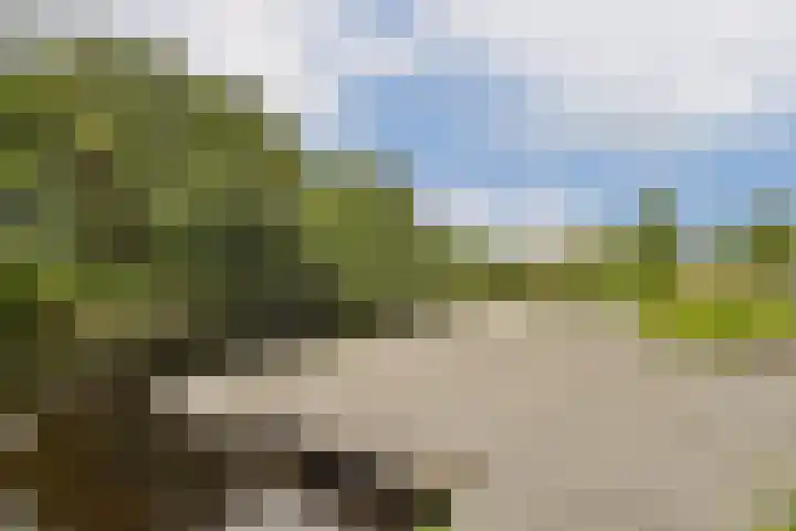 Troelstralaan 217 Amsterdam thumbnail 23