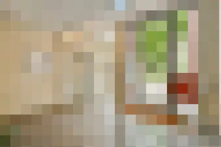 Troelstralaan 217 Amsterdam thumbnail 5