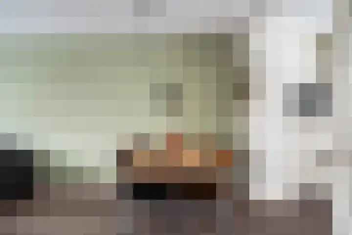 Troelstralaan 22 Pijnacker thumbnail 11