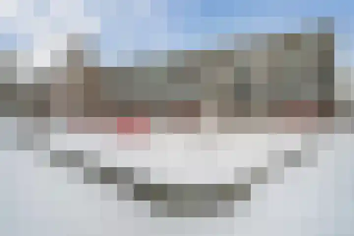 Troelstralaan 22 Pijnacker thumbnail 5