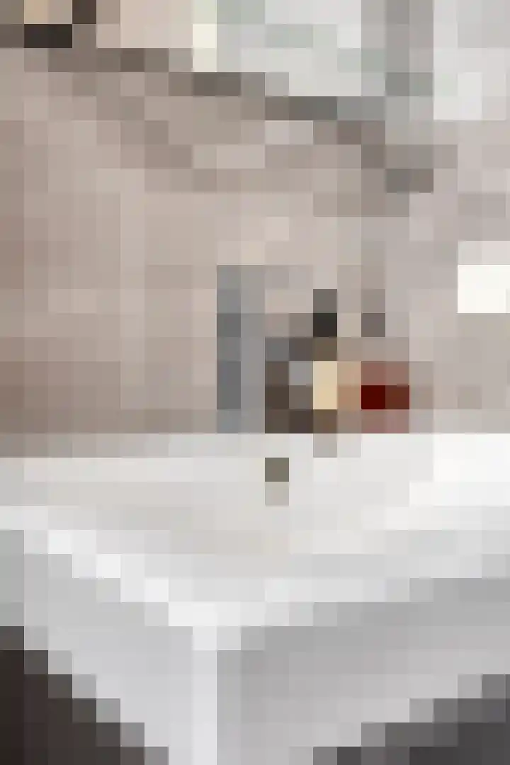 Troelstralaan 253 D Amsterdam thumbnail 16