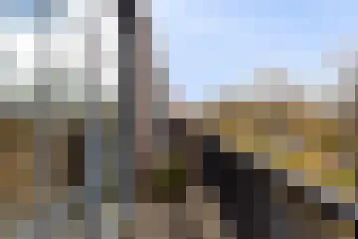 Troelstralaan 253 D Amsterdam thumbnail 18