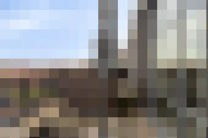 Troelstralaan 253 D Amsterdam thumbnail 21