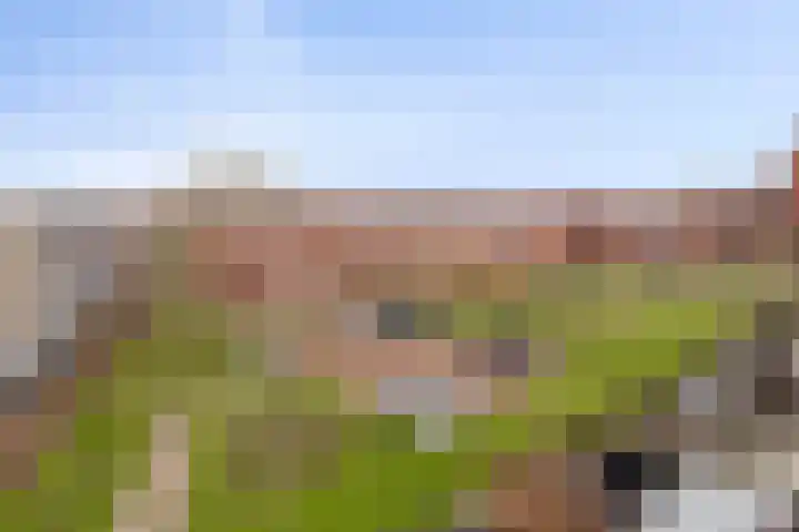 Troelstralaan 253 D Amsterdam thumbnail 23