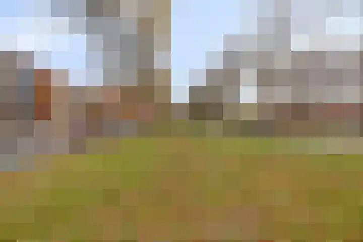Troelstralaan 253 D Amsterdam thumbnail 27