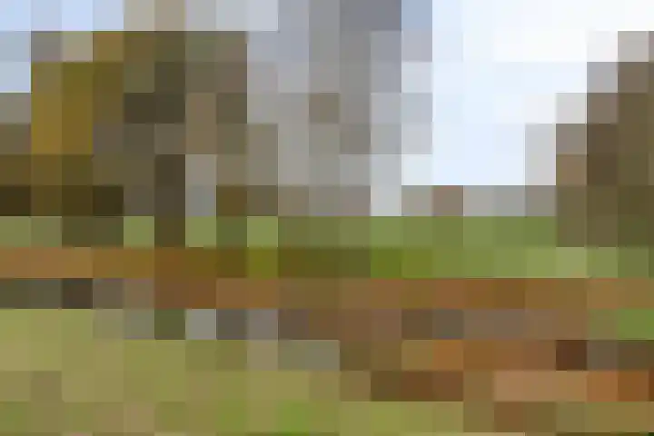 Troelstralaan 253 D Amsterdam thumbnail 28