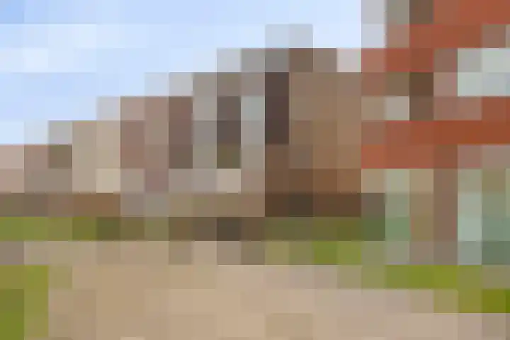 Troelstralaan 253 D Amsterdam thumbnail 4