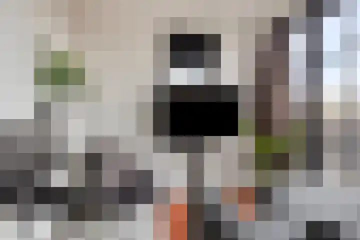 Troelstralaan 253 D Amsterdam thumbnail 6