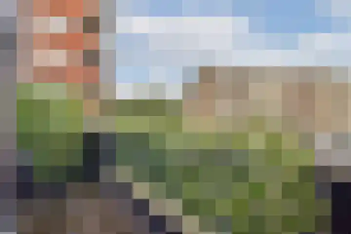 Troelstralaan 255 B Amsterdam thumbnail 10