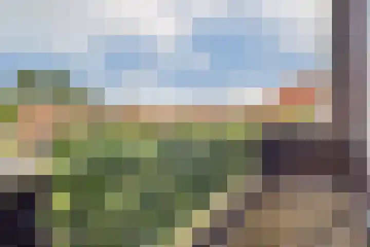 Troelstralaan 255 B Amsterdam thumbnail 9