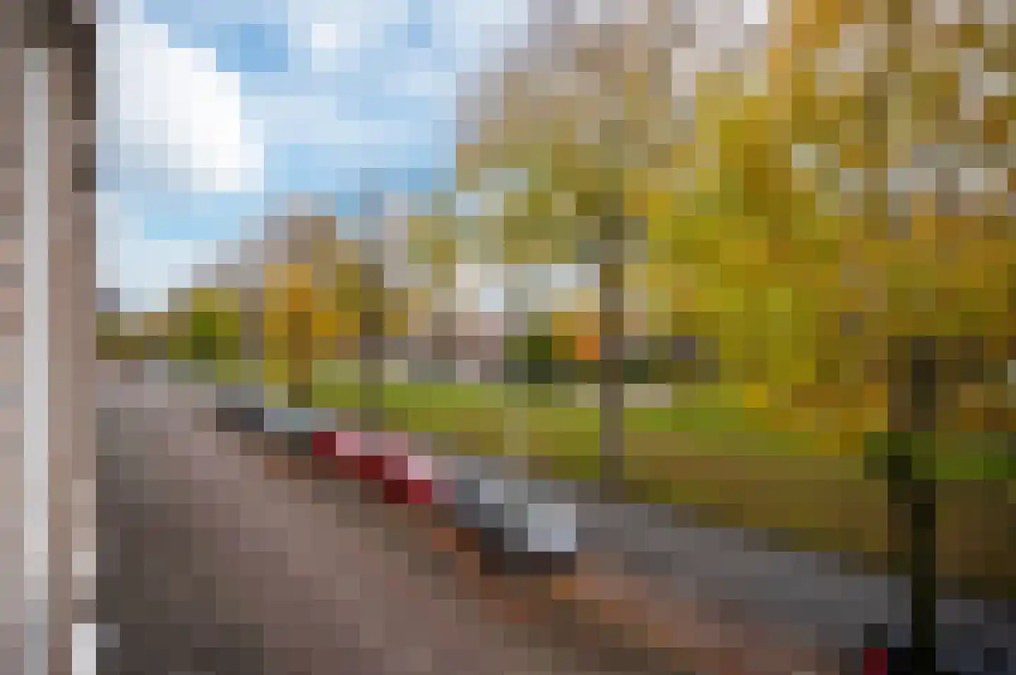 Troelstralaan 263 C Amsterdam thumbnail 20