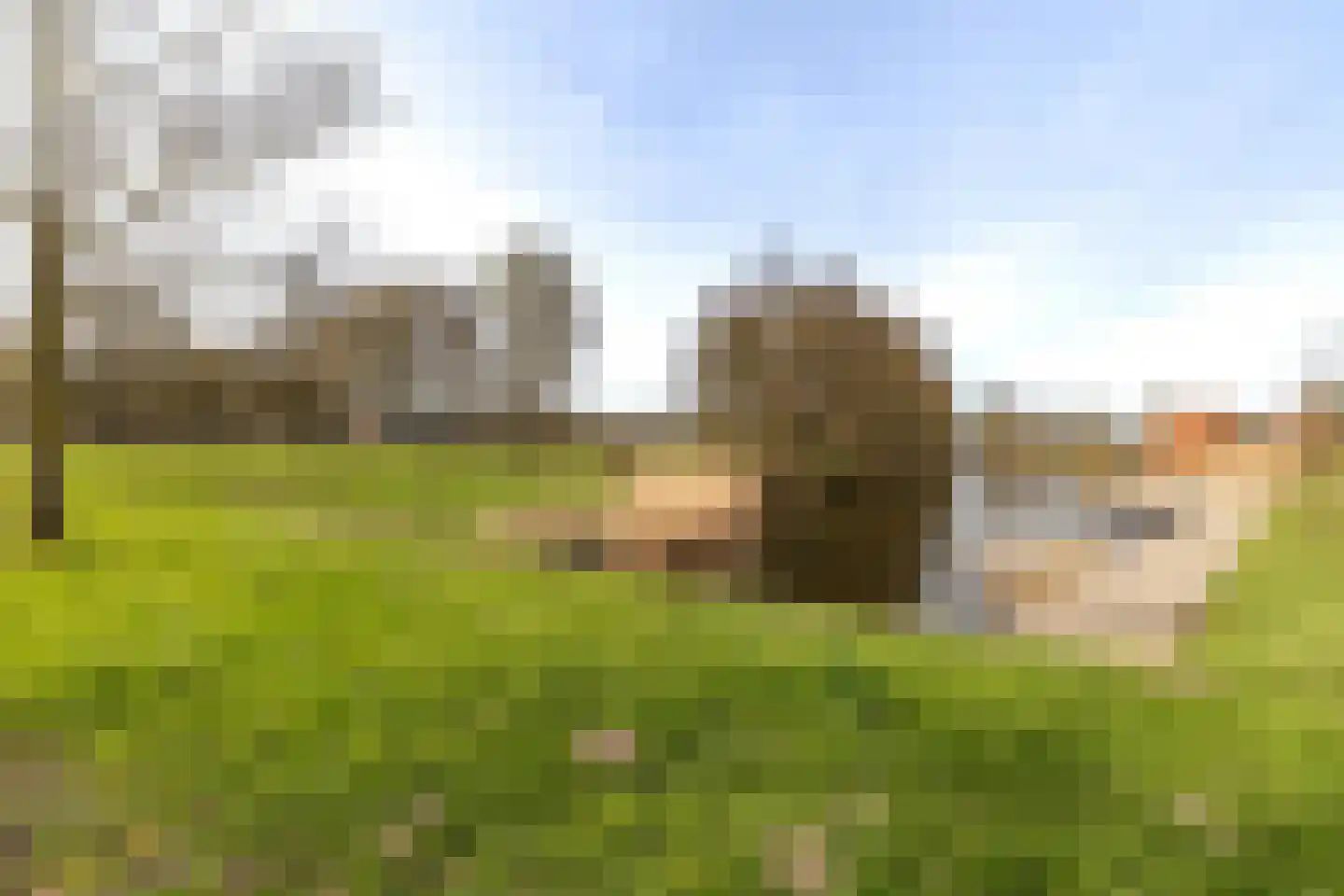 Troelstralaan 269 B Amsterdam thumbnail 23