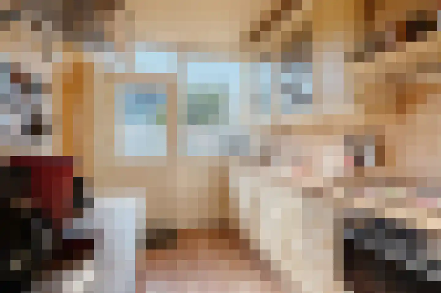 Troelstralaan 28 Hoogezand thumbnail 19