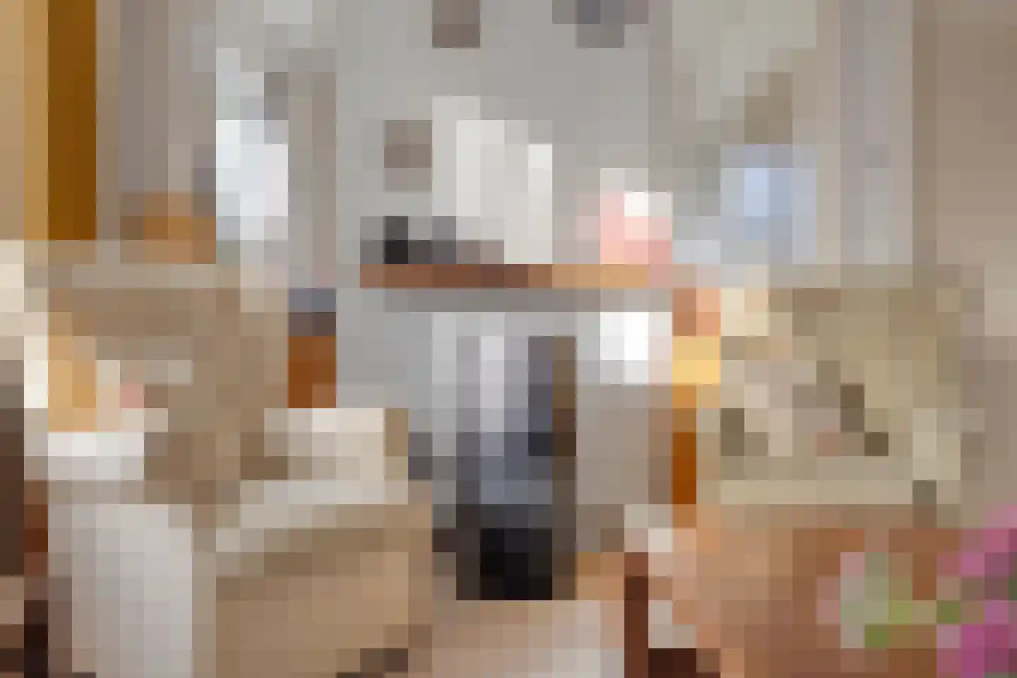 Troelstralaan 3 Muntendam thumbnail 15
