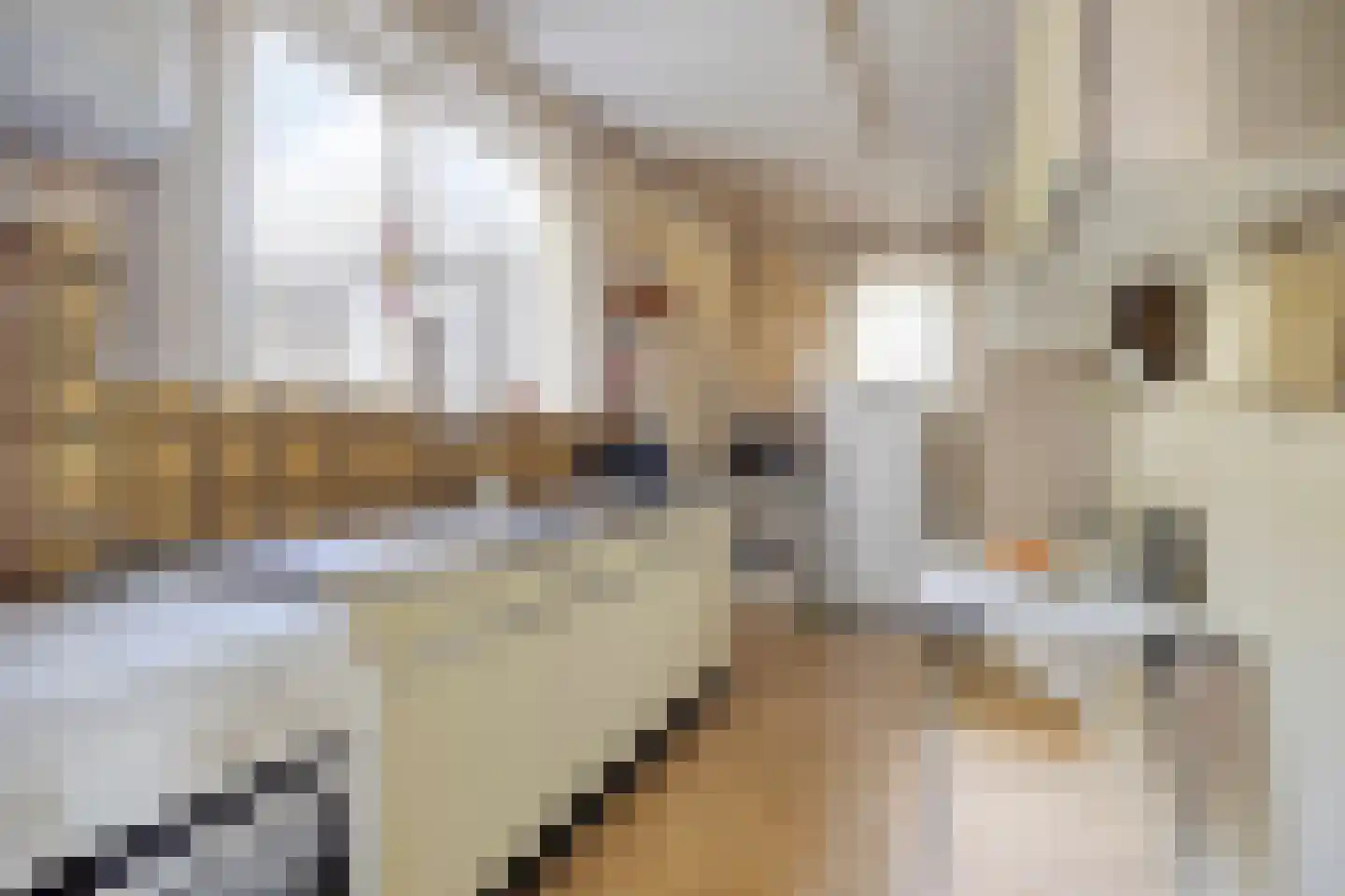 Troelstralaan 3 Muntendam thumbnail 17