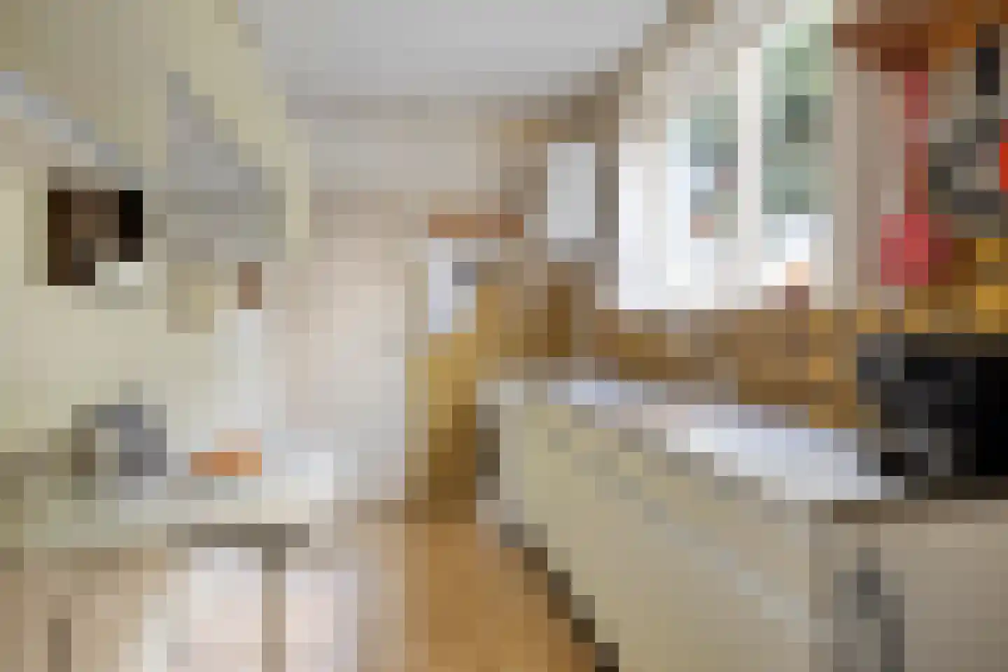 Troelstralaan 3 Muntendam thumbnail 18
