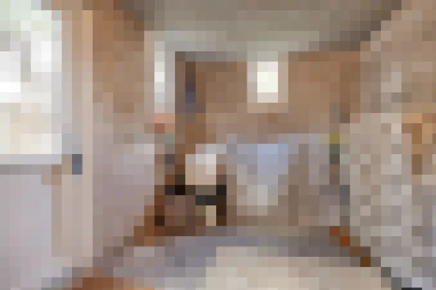 Troelstralaan 3 Muntendam thumbnail 33