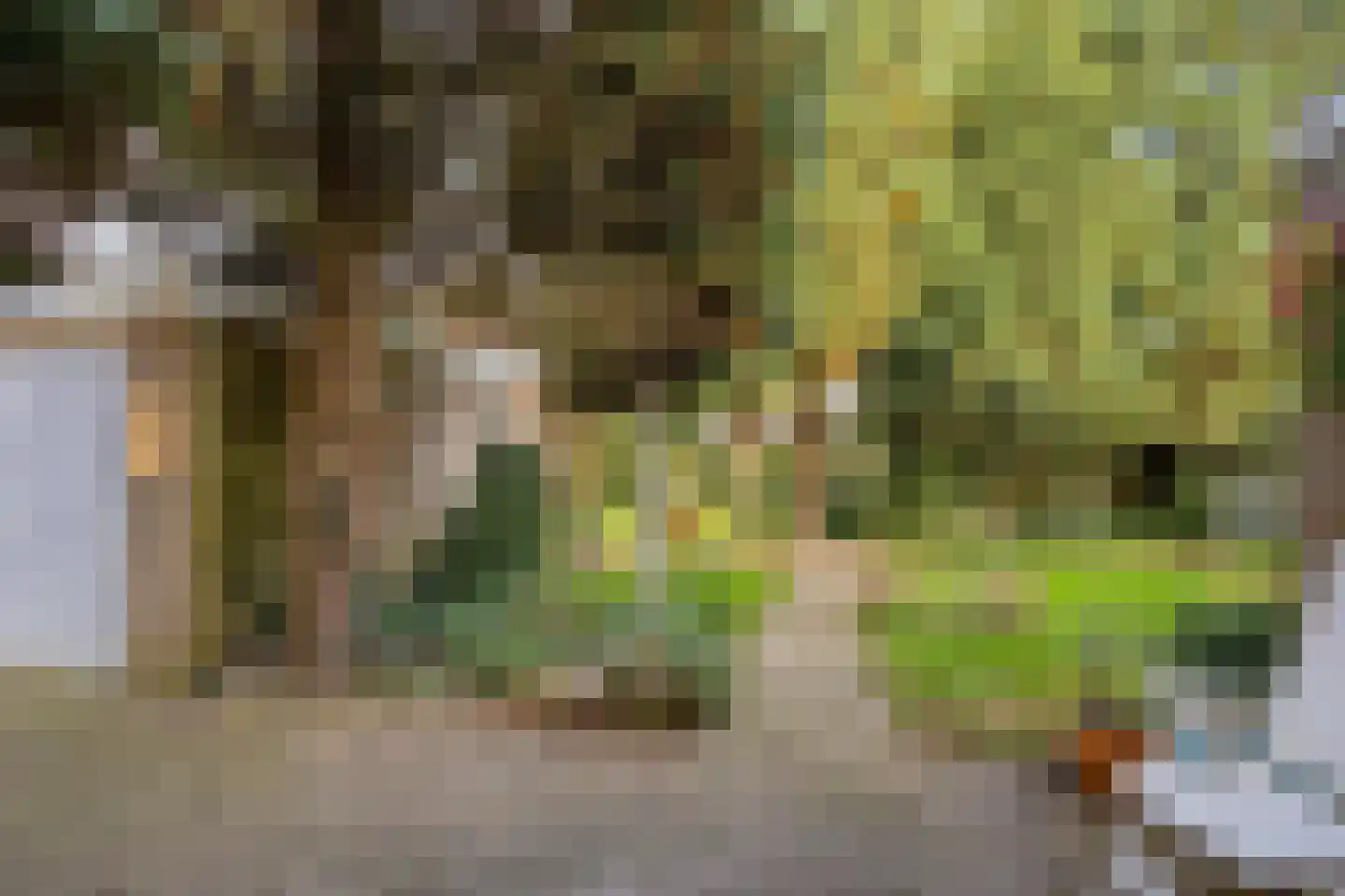 Troelstralaan 3 Muntendam thumbnail 34