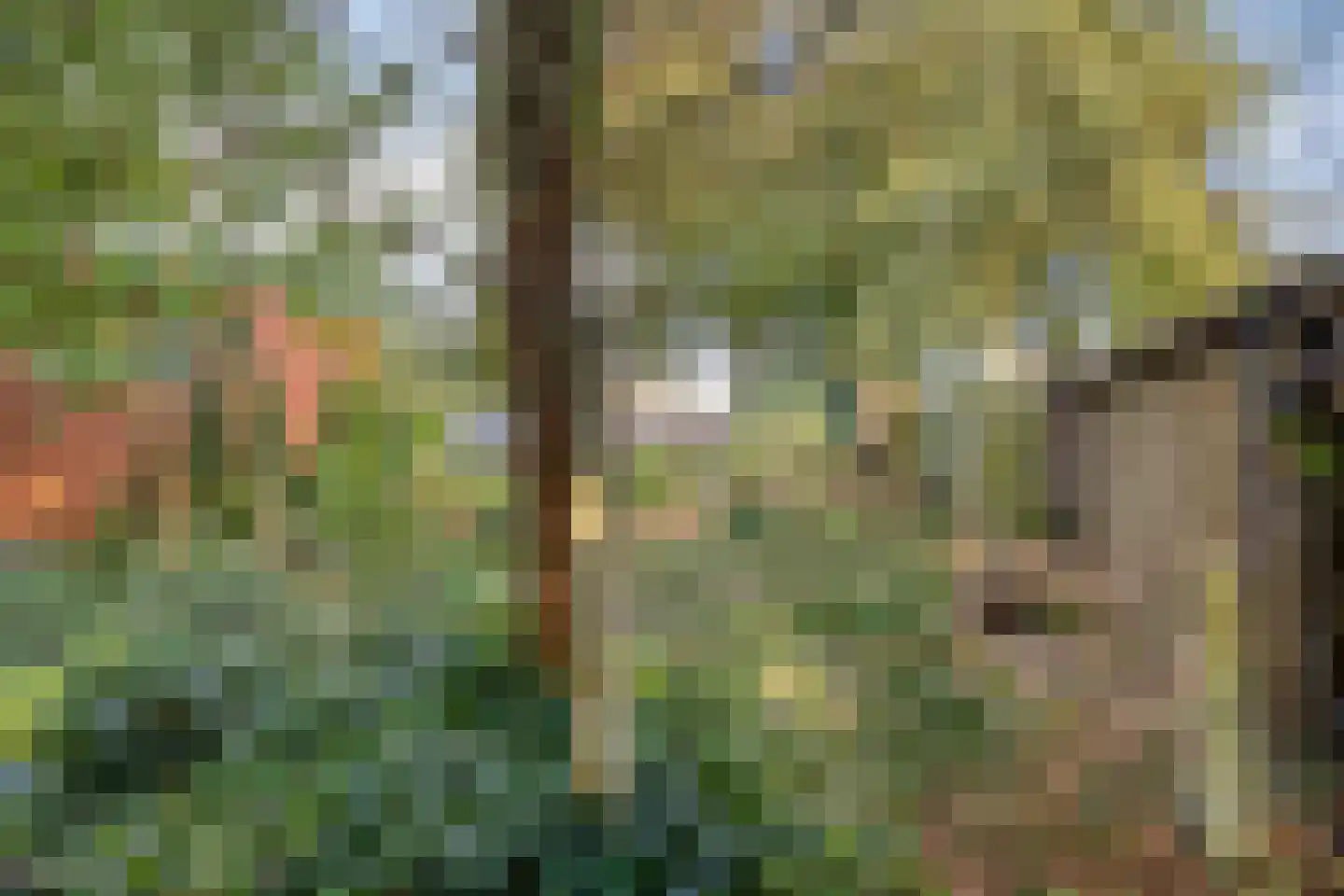 Troelstralaan 3 Muntendam thumbnail 37