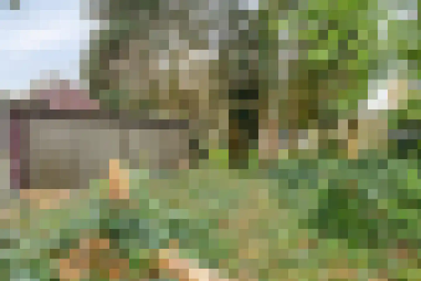 Troelstralaan 3 Muntendam thumbnail 38