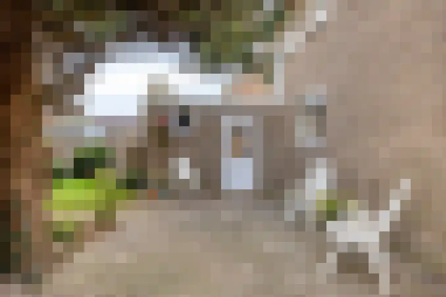 Troelstralaan 3 Muntendam thumbnail 5